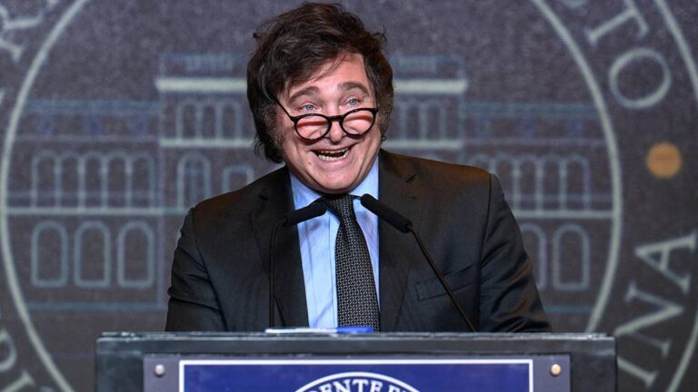El gobierno de Milei