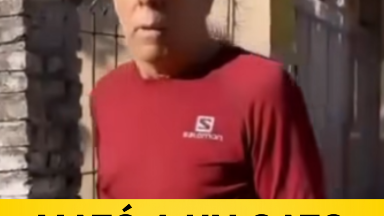 Un hombre mató a un gato ,dijo que le meaba sus cosas